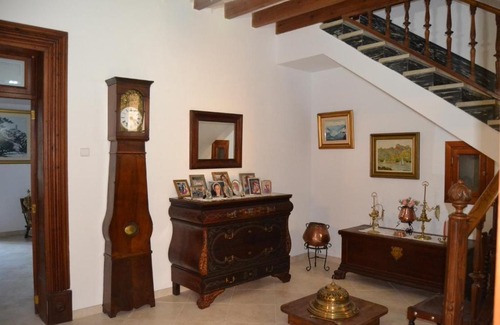 Selva Casa | Casa Carro