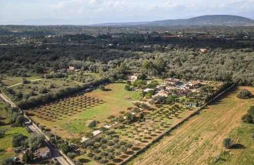 Algaida Casa | Cas Misser