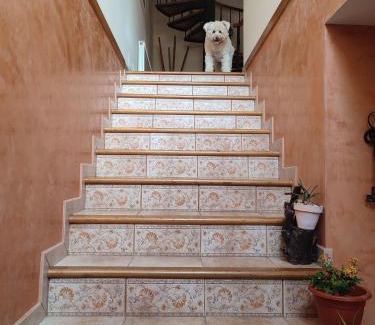 A Guarda Casa | Casa A RODA
