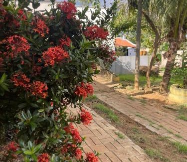 Palmas Casa | Casa aconchegante e espaçosa