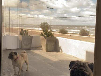 Balneario El Condor Casa | CASA AL LADO DEL MAR