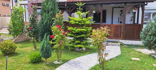 Navodari Casa | Casa Alba