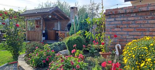 Navodari Casa | Casa Alba
