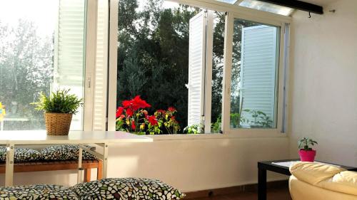 Estepona Apartamento | Casa Alegre Estepona