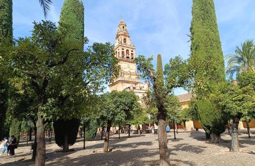 San Pedro Apartamento | CASA ALFONSO