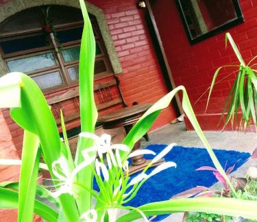 Marica Cama Y Desayuno | Casa Aloha Barra