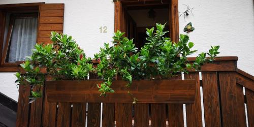 Bastiani Casa | Casa Alpina