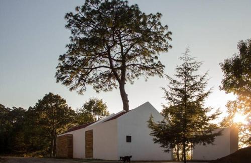 Mazamitla Casa | Casa Alrededor de un Pino