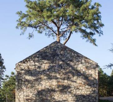 Mazamitla Casa | Casa Alrededor de un Pino