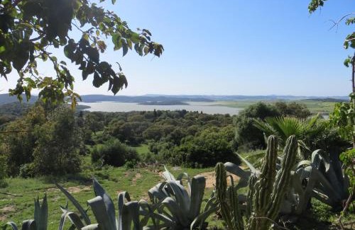 Medina-Sidonia Casa | Casa Alvarianes