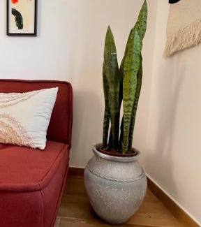 Almocageme Apartamento | Casa Amarela