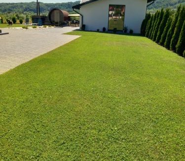 Albestii Paminteni Casa | Casa Ambientt