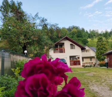Bicazu Ardelean Casa | Casa Ana