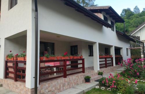 Bicazu Ardelean Casa | Casa Ana