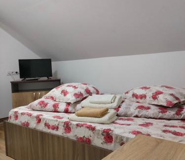 Bicazu Ardelean Casa | Casa Ana