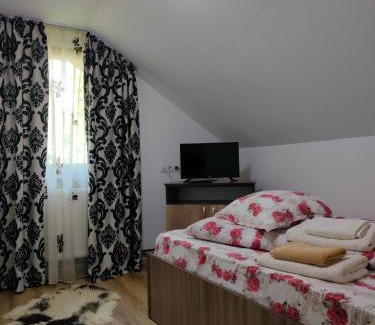 Bicazu Ardelean Casa | Casa Ana