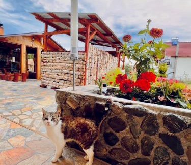 Zarnesti Casa | Casa Andreas