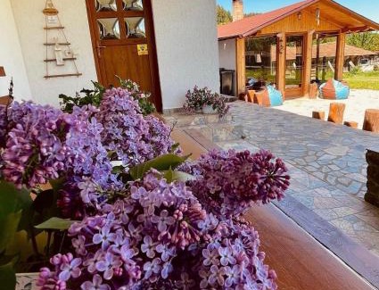 Zarnesti Casa | Casa Andreas