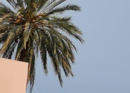Lujar Apartamento | Casa Angeles