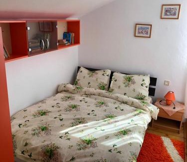 Borsa Casa | Casa Ani