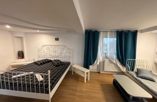 Pitesti Villa | Casa Anisia by Hypnotic Villa