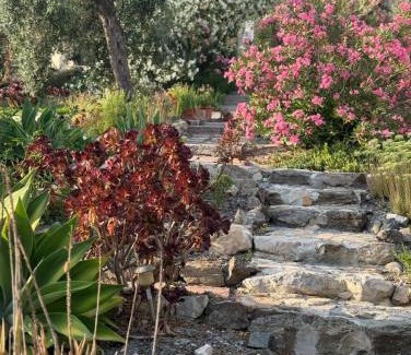 El Chorro Casa | Casa Anita - La Almona Chica