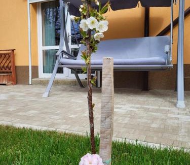 Buzau Casa | Casa Anton Buzău