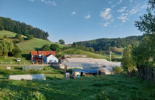 Sita Buzaului Casa | Casa Ardelean