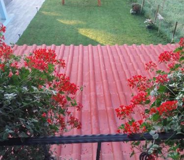 Sita Buzaului Casa | Casa Ardelean