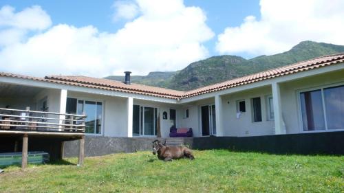 Lajes das Flores Casa | Casa Atlantida - Sea front