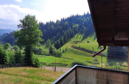Vatra Dornei Casa | Casa Aurici Vatra Dornei