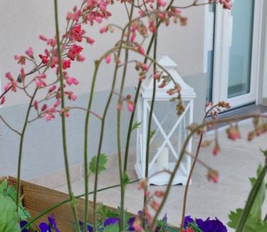 Monzambano Casa | CASA AUTUNNO