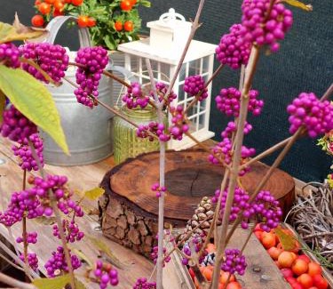 Monzambano Casa | CASA AUTUNNO
