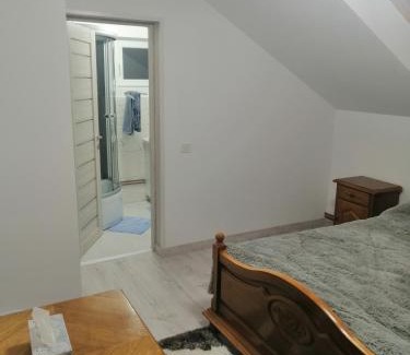 Campulung Moldovenesc Casa | Casa Balan