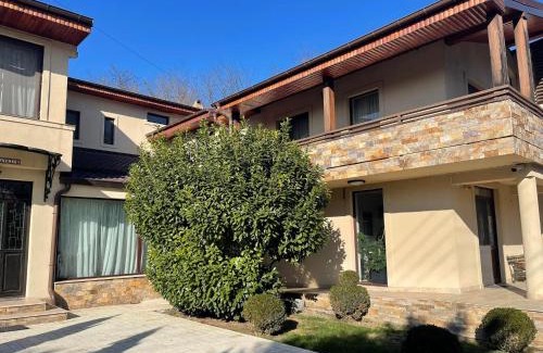Izvoranu Villa | Casa Beatrice