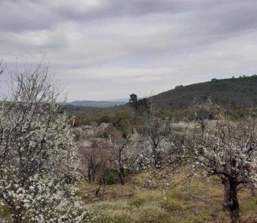 Madronal Casa | Casa Belen I y II
