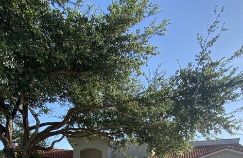 McAllen Casa | Casa Bella Hermosa Quinta en McAllen