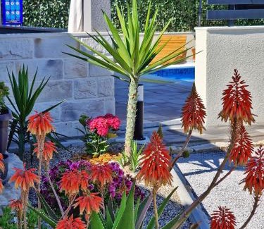 Mejasi Casa | Casa Bella