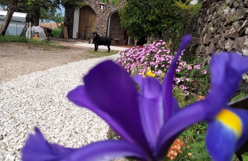 Dorgali Casa | Casa Belvedere Sa Costa: apartment nestled in the green countryside in Dorgali