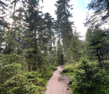 Kniebis Apartamento | CASA BLACK FOREST - Freudenstadt Kniebis