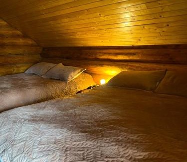 Dorna Candrenilor Casa | Casa Brindusa