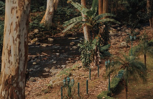 Coatepec Casa | Casa Briones, Veracruz