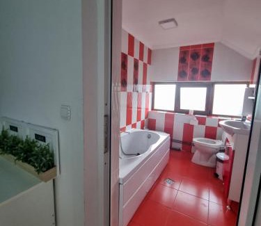 Campulung Moldovenesc Casa | Casa bunicilor dor de Bucovina