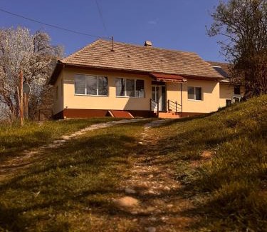 Vama Buzaului Casa | Casa Buzaiel,910