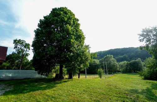Vama Buzaului Casa | Casa Buzaiel,910