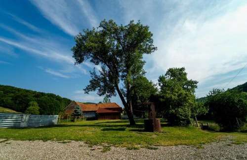 Vama Buzaului Casa | Casa Buzaiel,910