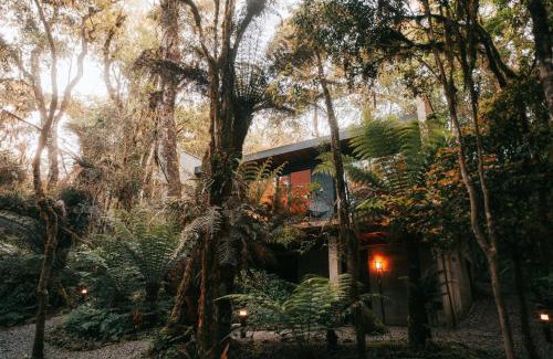 Sao Francisco de Paula Casa | Casa Caúna