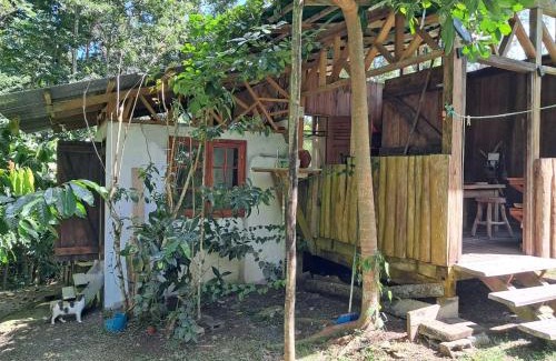 Almirante Casa | Casa Cacao
