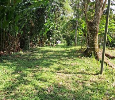 Almirante Casa | Casa Cacao
