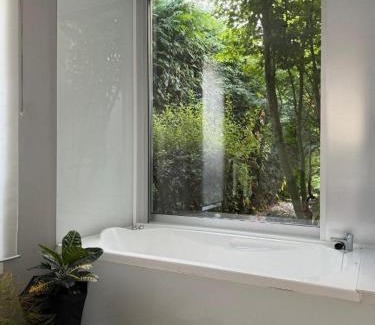 Boiro Casa | Casa Calima